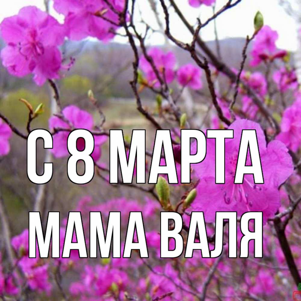 Открытка на каждый день с именем, Мама-Валя С 8 марта международный женский день Прикольная открытка с пожеланием онлайн скачать бесплатно 