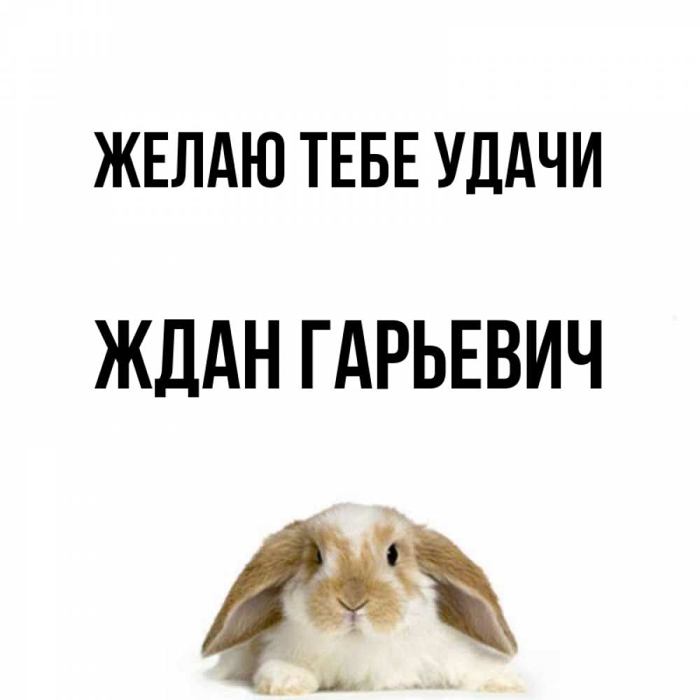 Жди удач