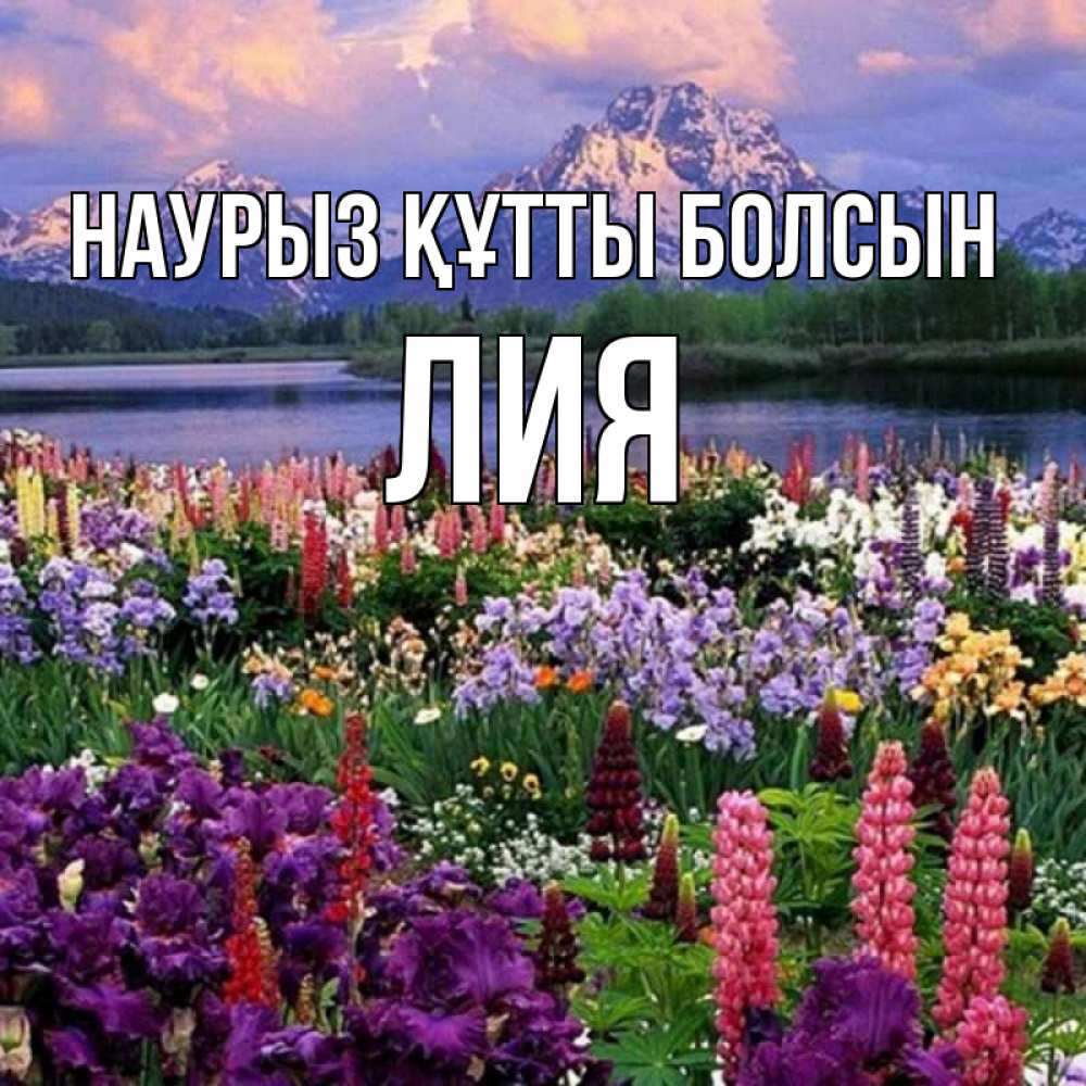 Открытка на каждый день с именем, Лия Наурыз құтты болсын наурыз Прикольная открытка с пожеланием онлайн скачать бесплатно 