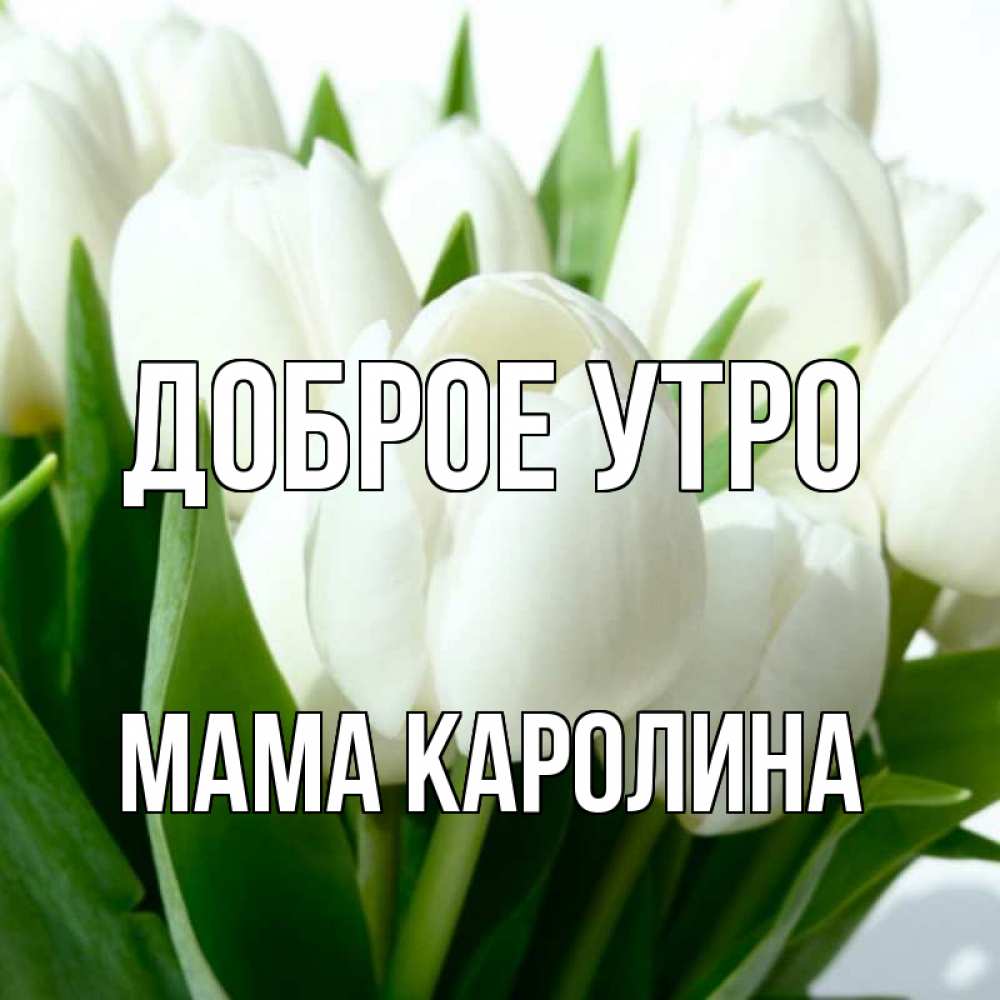 Открытка на каждый день с именем, Мама-Каролина Доброе утро открытки на каждый день по именам Прикольная открытка с пожеланием онлайн скачать бесплатно 