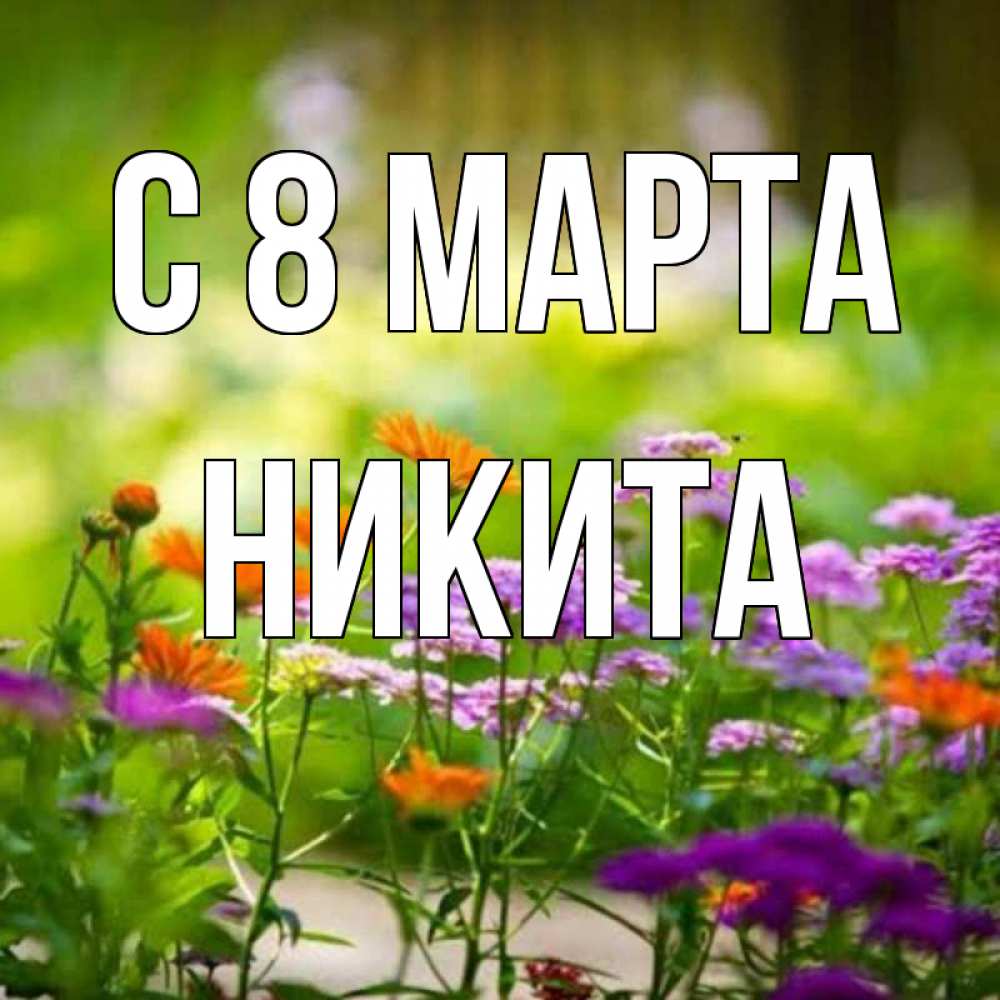 Открытка на каждый день с именем, Никита С 8 марта цветы Прикольная открытка с пожеланием онлайн скачать бесплатно 