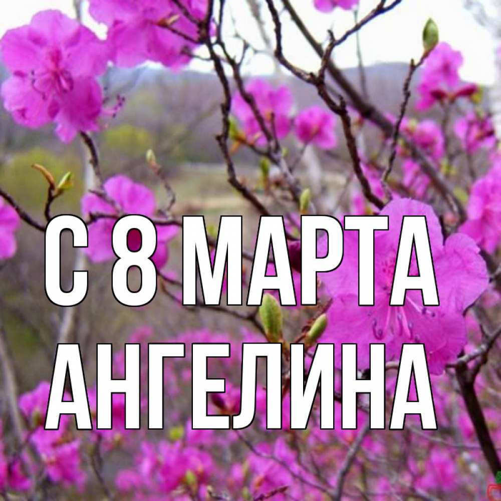 Открытка на каждый день с именем, Ангелина С 8 МАРТА международный женский день Прикольная открытка с пожеланием онлайн скачать бесплатно 