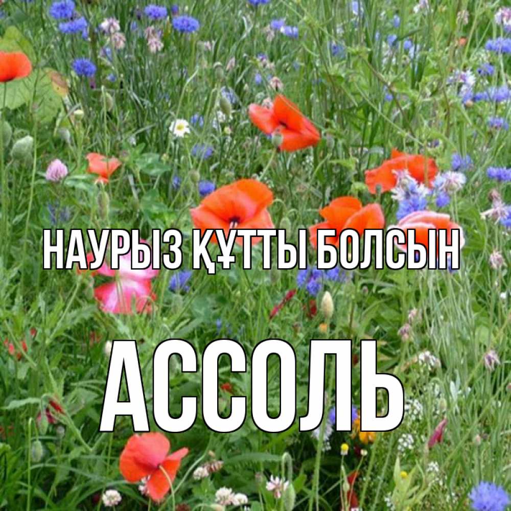 Открытка на каждый день с именем, Ассоль Наурыз құтты болсын наурыз  4 Прикольная открытка с пожеланием онлайн скачать бесплатно 