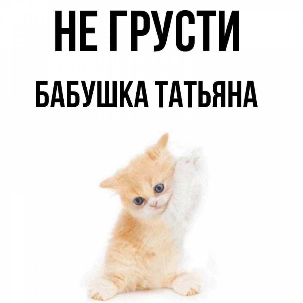 Открытка на каждый день с именем, Бабушка-Татьяна Не грусти просящий кот Прикольная открытка с пожеланием онлайн скачать бесплатно 
