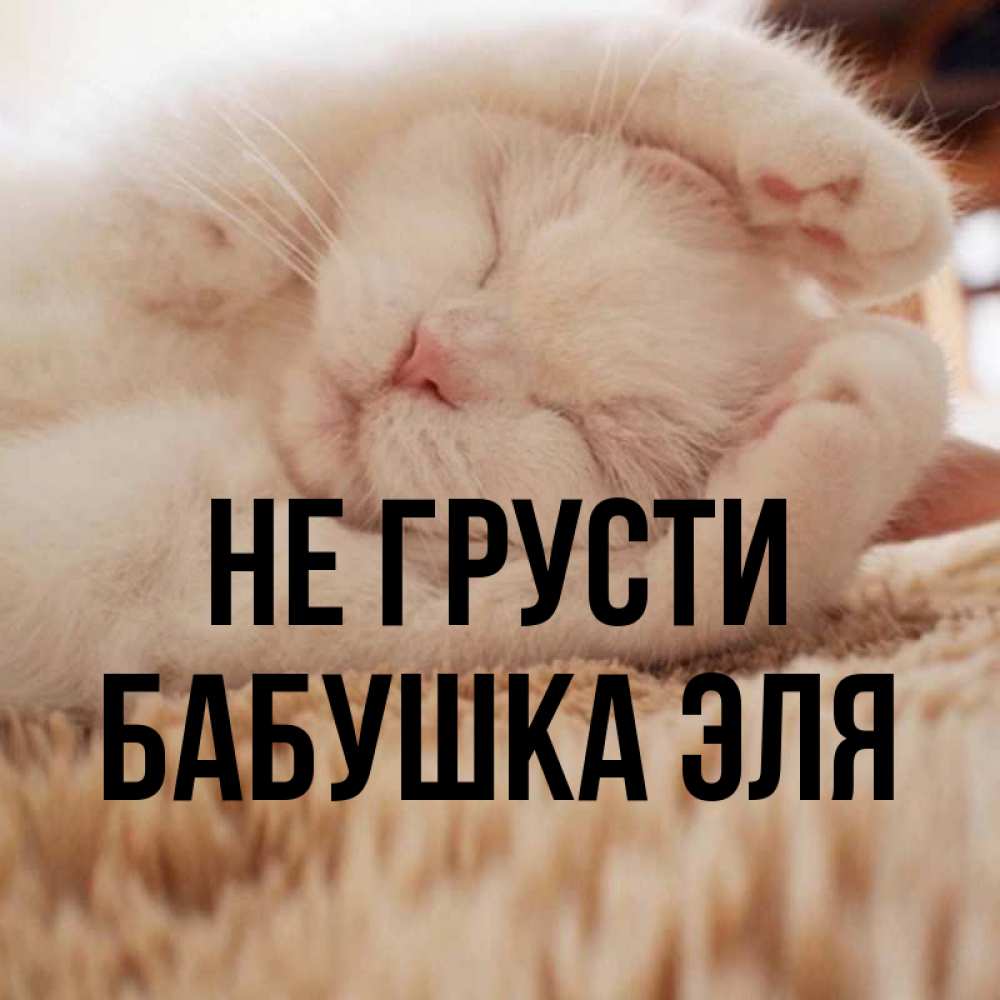 Открытка на каждый день с именем, Бабушка-Эля Не грусти Котенок спит Прикольная открытка с пожеланием онлайн скачать бесплатно 