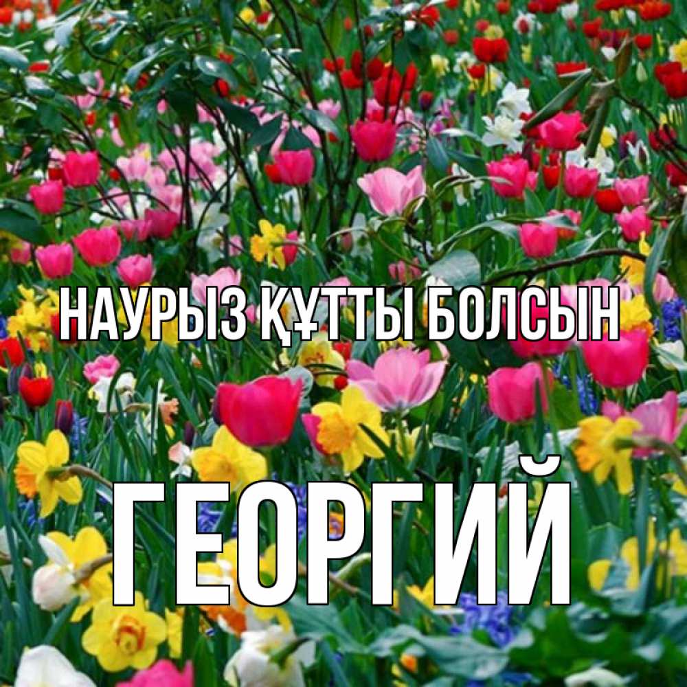 Открытка на каждый день с именем, Георгий Наурыз құтты болсын с наурызом поздравления для женщины Прикольная открытка с пожеланием онлайн скачать бесплатно 