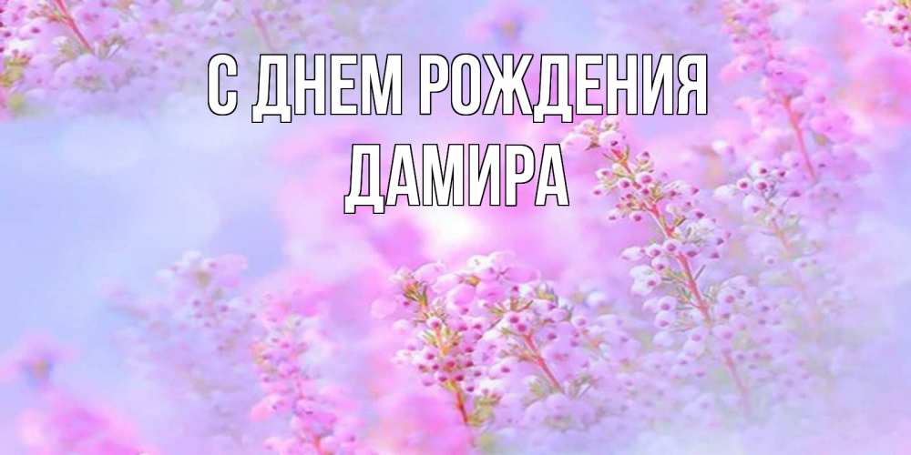 Открытка на каждый день с именем, Дамира С днем рождения красивая открытка с мелкими цветами Прикольная открытка с пожеланием онлайн скачать бесплатно 