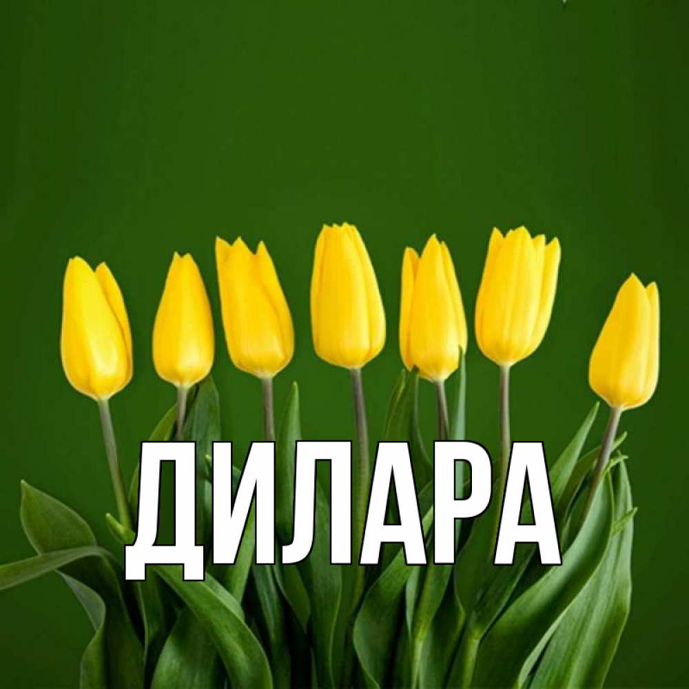 Открытка на каждый день с именем, Дилара Главная желтого цвета 3 Прикольная открытка с пожеланием онлайн скачать бесплатно 