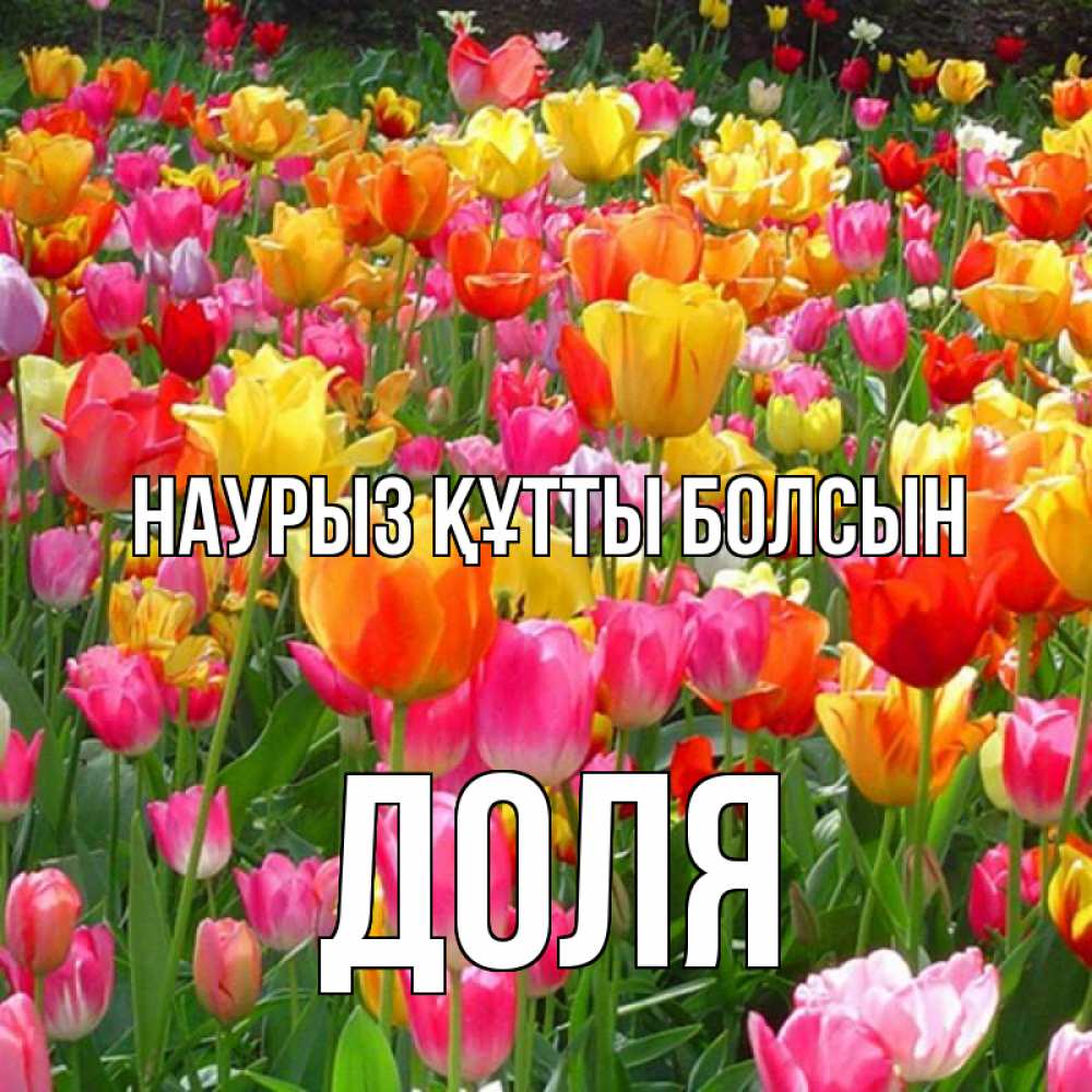Открытка на каждый день с именем, Доля Наурыз құтты болсын на наурыз  ура ура Прикольная открытка с пожеланием онлайн скачать бесплатно 