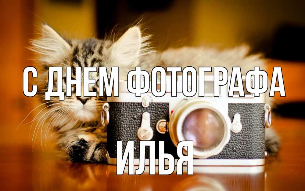 Открытка на каждый день с именем, Илья С днем фотографа с днем фотографа Прикольная открытка с пожеланием онлайн скачать бесплатно 