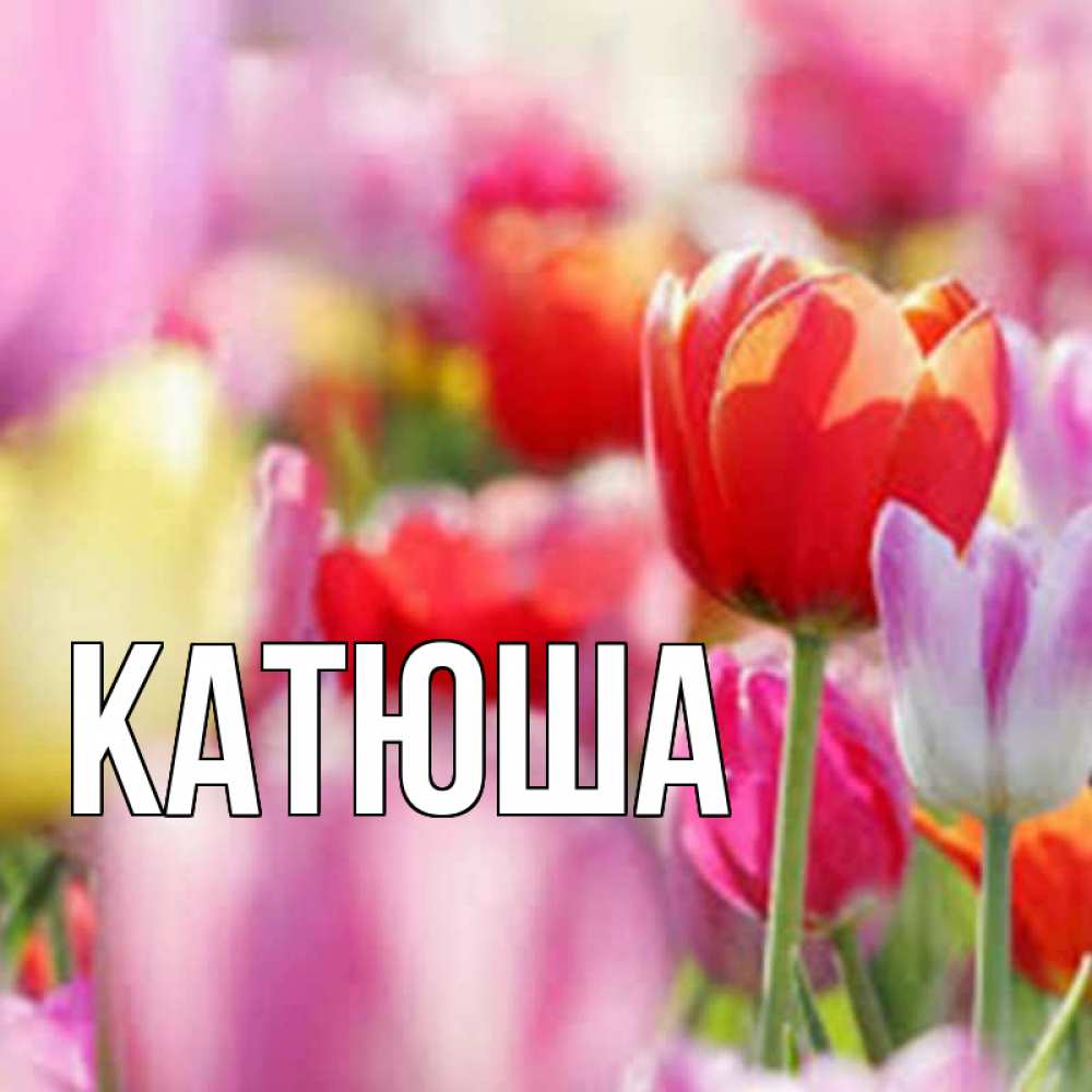 Открытка на каждый день с именем, Катюша Главная на наурыз  2 Прикольная открытка с пожеланием онлайн скачать бесплатно 