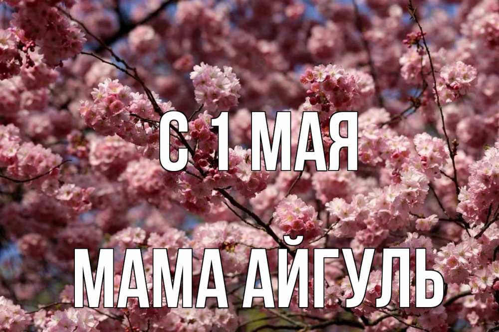 Открытка на каждый день с именем, Мама-Айгуль С 1 мая С 1 мая Прикольная открытка с пожеланием онлайн скачать бесплатно 