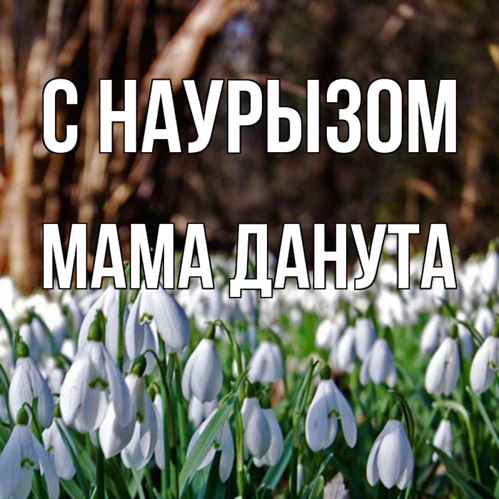 Открытка на каждый день с именем, Мама-Данута С наурызом с подснежниками 1 Прикольная открытка с пожеланием онлайн скачать бесплатно 