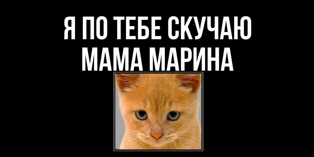 Открытка на каждый день с именем, Мама-Марина Я по тебе скучаю открытки рыжий котенок скучает по тебе Прикольная открытка с пожеланием онлайн скачать бесплатно 