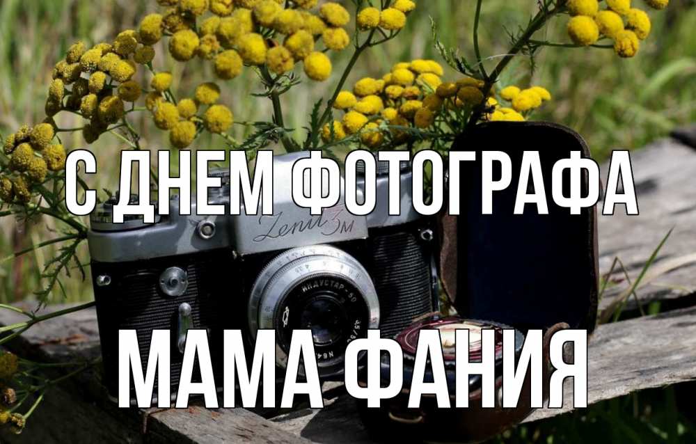 Открытка на каждый день с именем, Мама-Фания С днем фотографа с днем фотографа Прикольная открытка с пожеланием онлайн скачать бесплатно 
