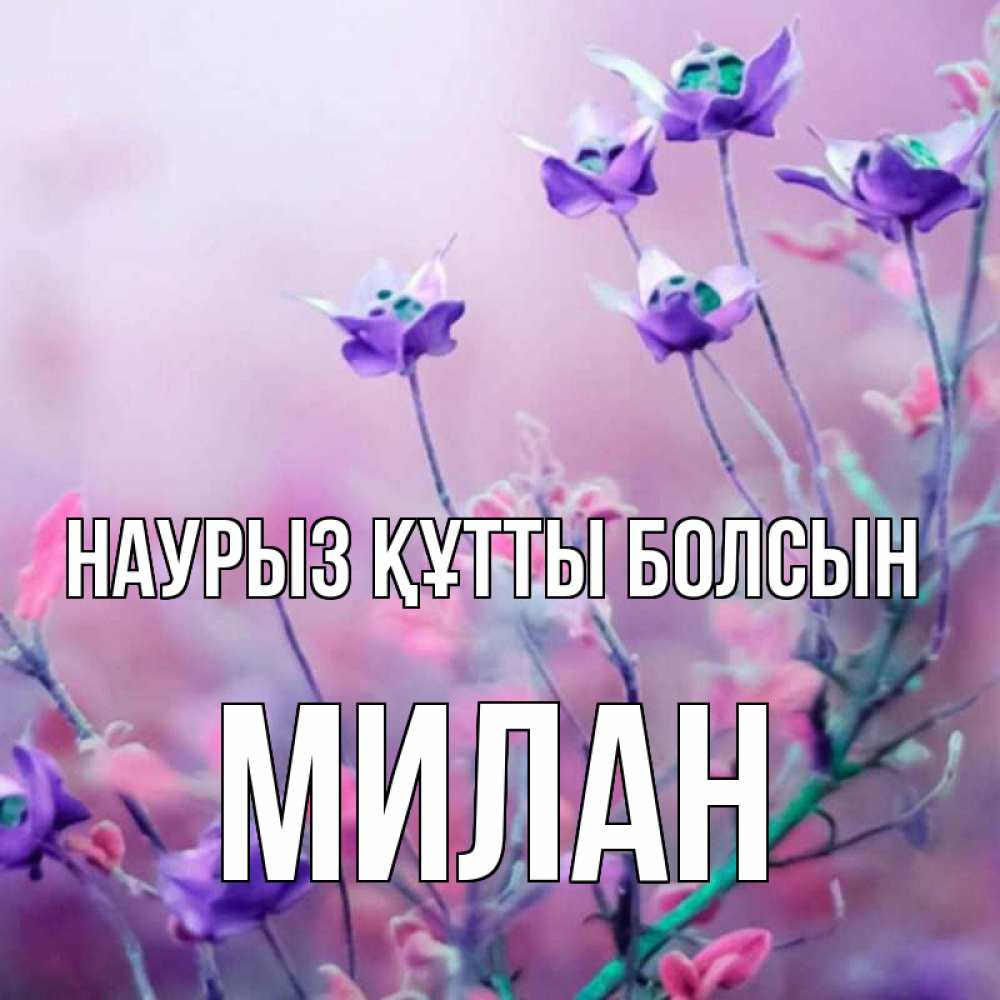 Открытка на каждый день с именем, Милан Наурыз құтты болсын наурыз  2 Прикольная открытка с пожеланием онлайн скачать бесплатно 