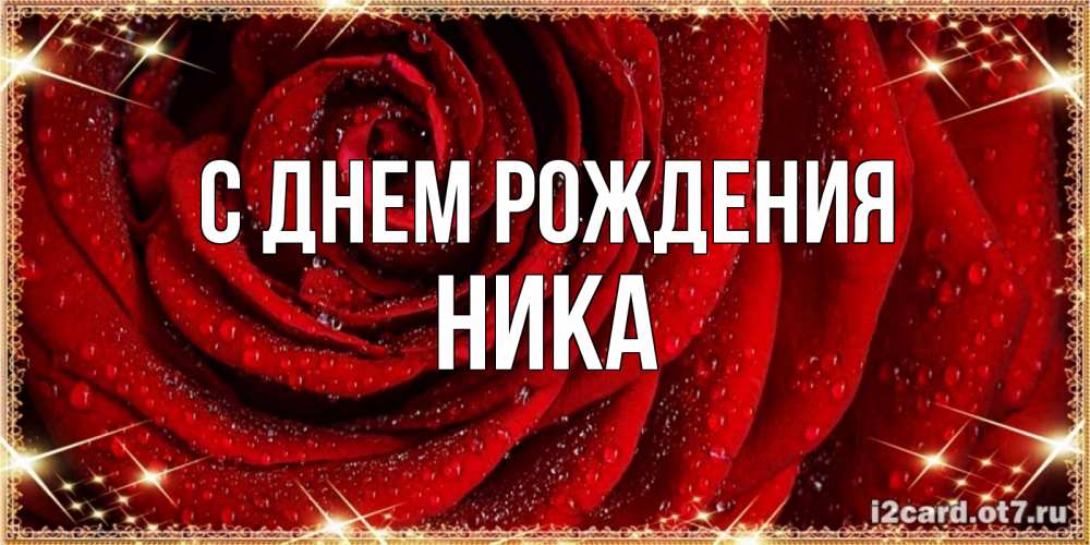 Открытка на каждый день с именем, Ника С днем рождения роса на розе блестящая в лучах солнца Прикольная открытка с пожеланием онлайн скачать бесплатно 
