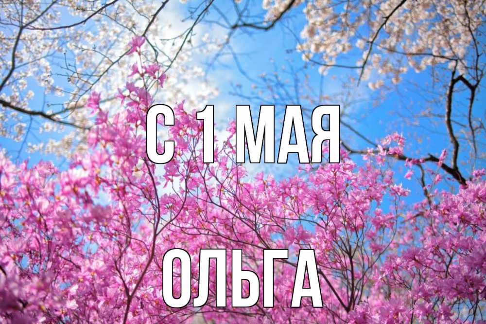 Открытка на каждый день с именем, Ольга С 1 мая С 1 мая Прикольная открытка с пожеланием онлайн скачать бесплатно 