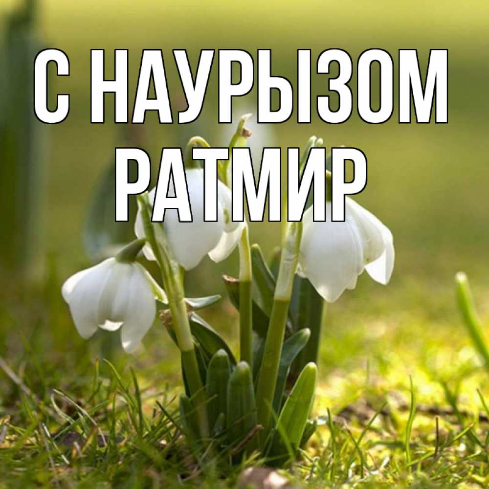 Открытка на каждый день с именем, Ратмир С наурызом ранние цветы 2 Прикольная открытка с пожеланием онлайн скачать бесплатно 