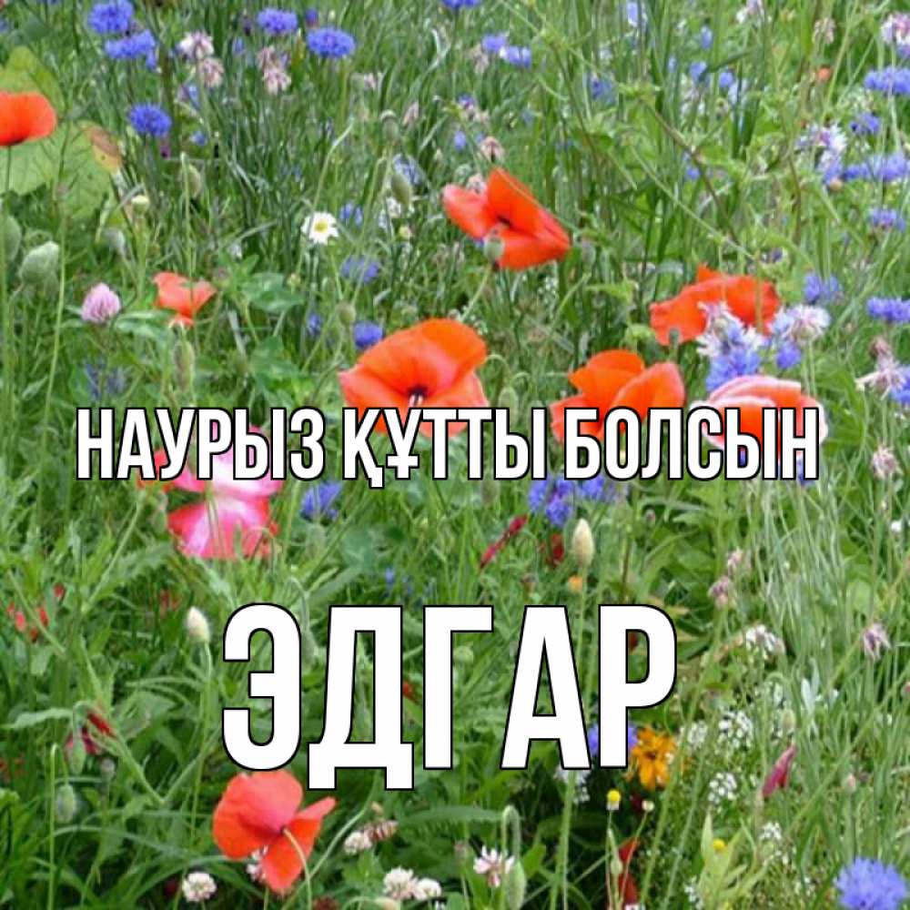 Открытка на каждый день с именем, Эдгар Наурыз құтты болсын наурыз  4 Прикольная открытка с пожеланием онлайн скачать бесплатно 
