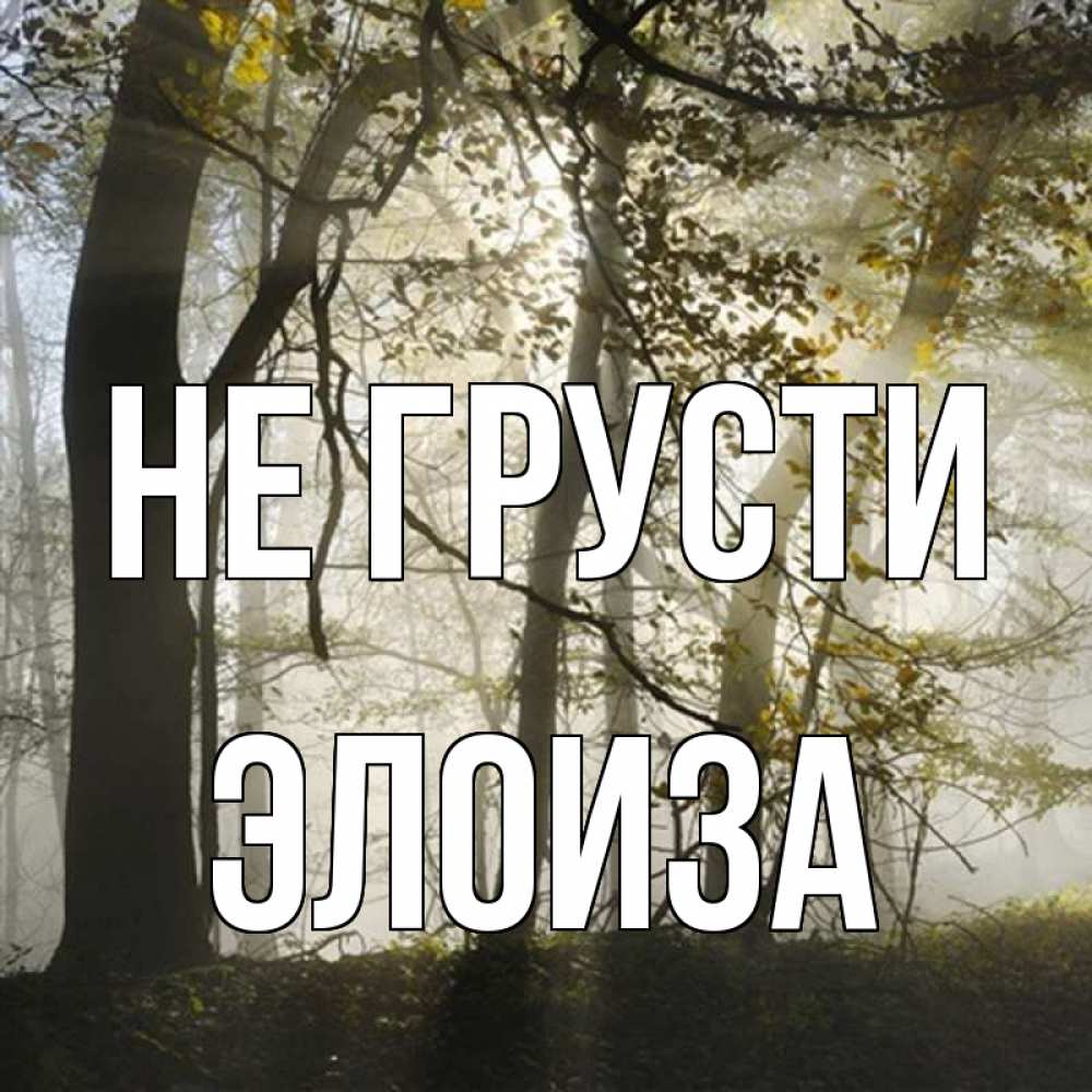 Открытка на каждый день с именем, Элоиза Не грусти лес и свет Прикольная открытка с пожеланием онлайн скачать бесплатно 