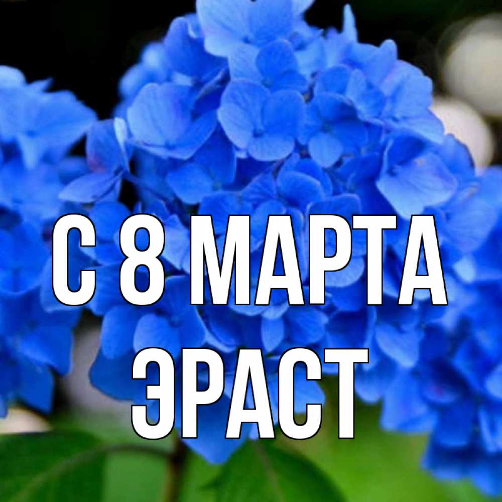 Открытка на каждый день с именем, Эраст С 8 МАРТА синие цветы Прикольная открытка с пожеланием онлайн скачать бесплатно 