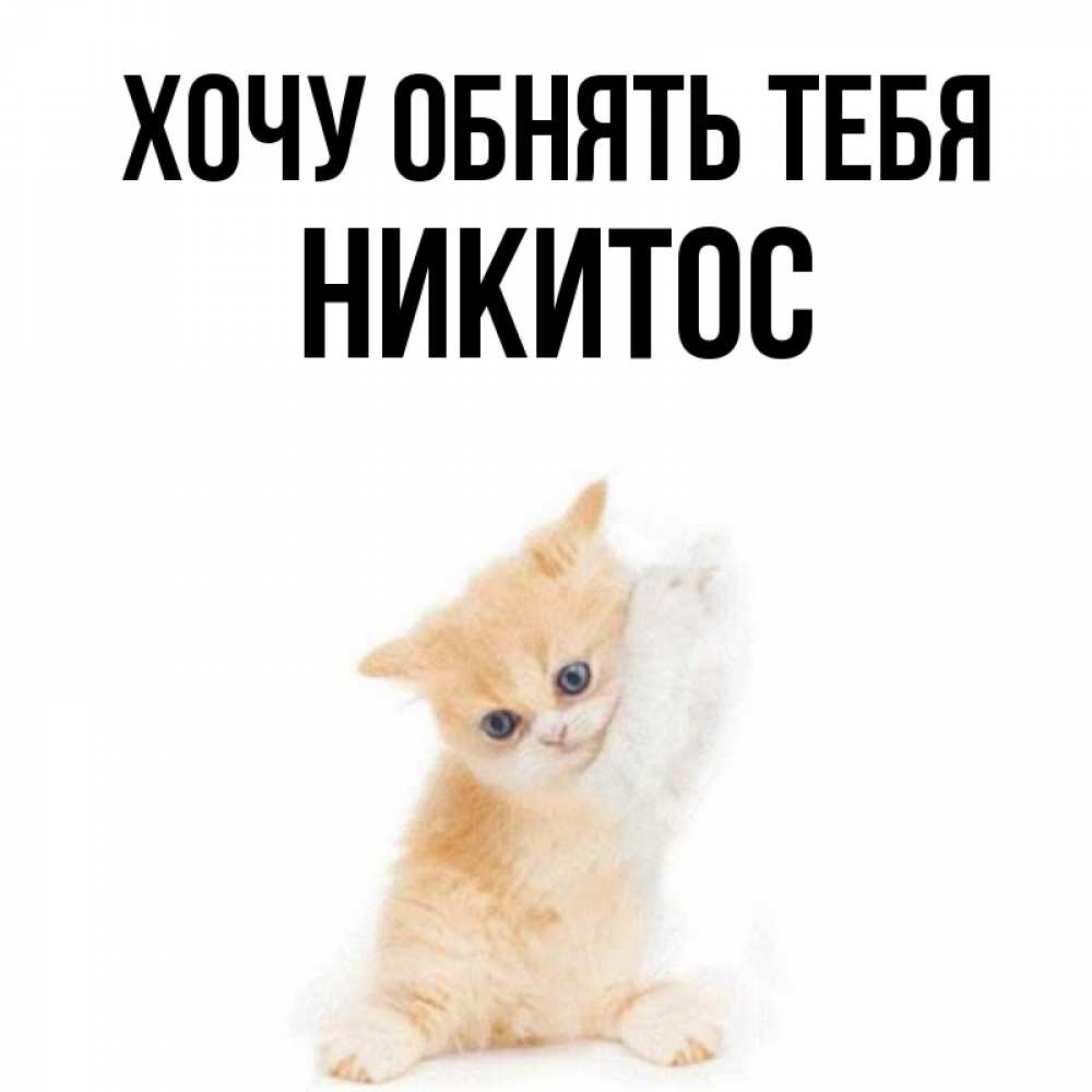 У никитоса. Никитос. Имя Никитос. Картинки с именем Никитос. Обои Никитос.