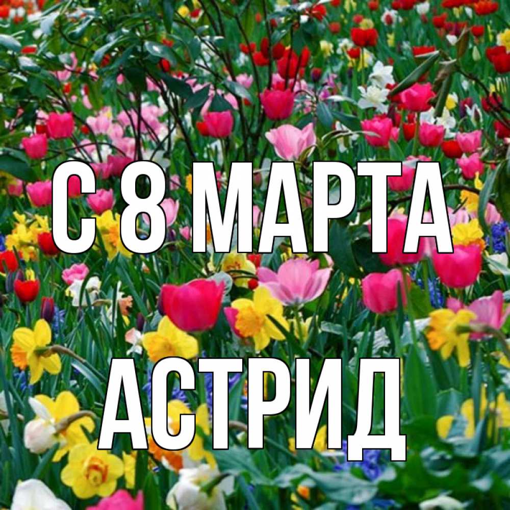 Открытка на каждый день с именем, Астрид С 8 марта с международным женским днем поздравления для женщины Прикольная открытка с пожеланием онлайн скачать бесплатно 