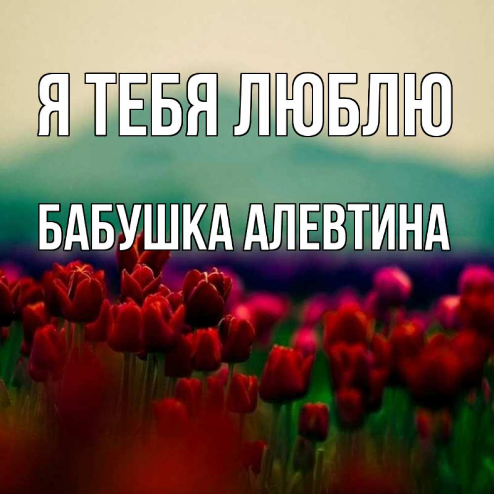 Открытка на каждый день с именем, Бабушка-Алевтина Я тебя люблю тюльпаны 4 Прикольная открытка с пожеланием онлайн скачать бесплатно 