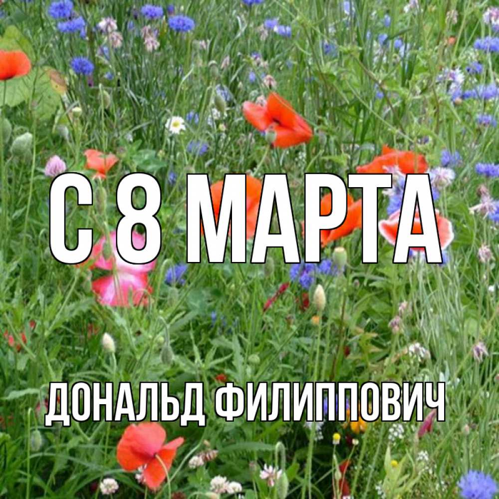 Картинка С 8 марта, Дональд Филиппович