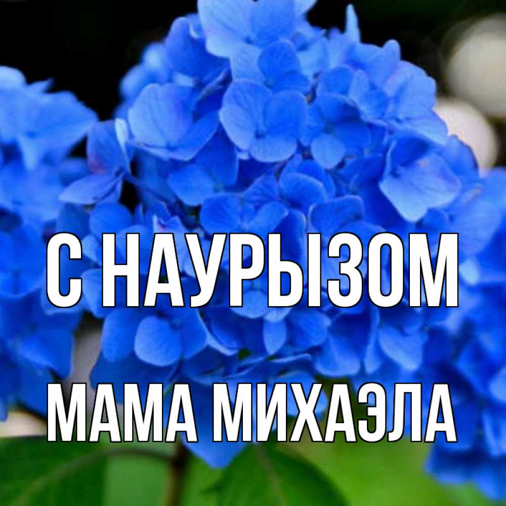 Открытка на каждый день с именем, Мама-Михаэла С наурызом синие цветы Прикольная открытка с пожеланием онлайн скачать бесплатно 