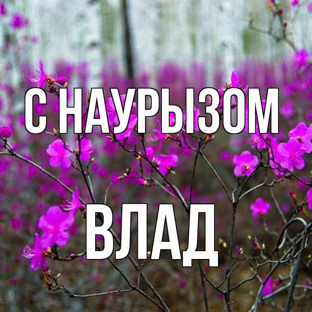 Картинка С наурызом, Влад