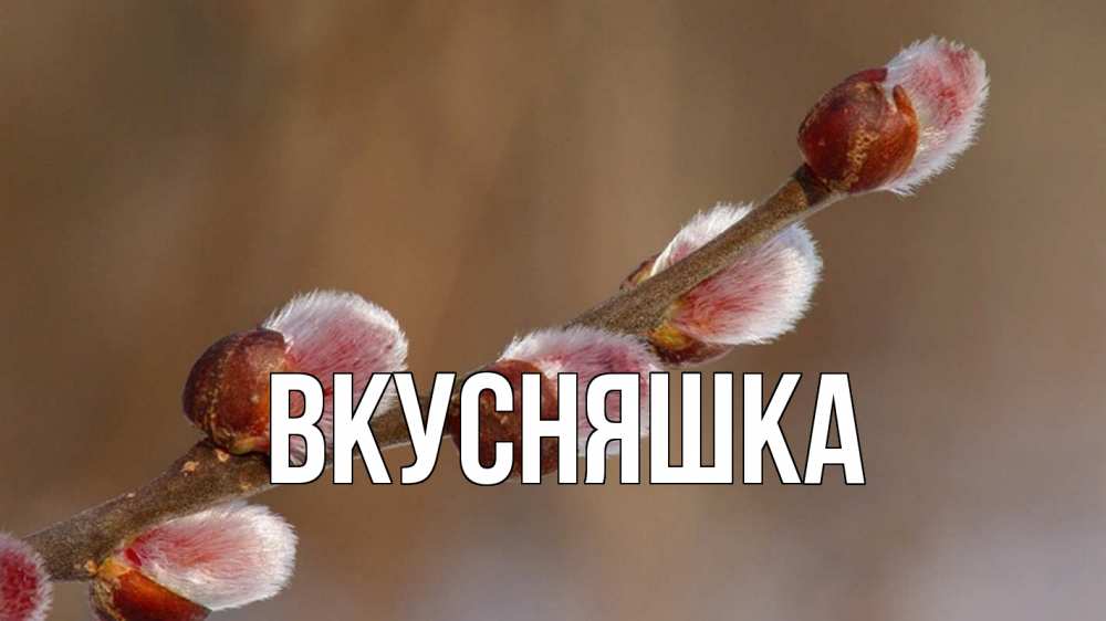 Открытка на каждый день с именем, Вкусняшка Главная верба Прикольная открытка с пожеланием онлайн скачать бесплатно 