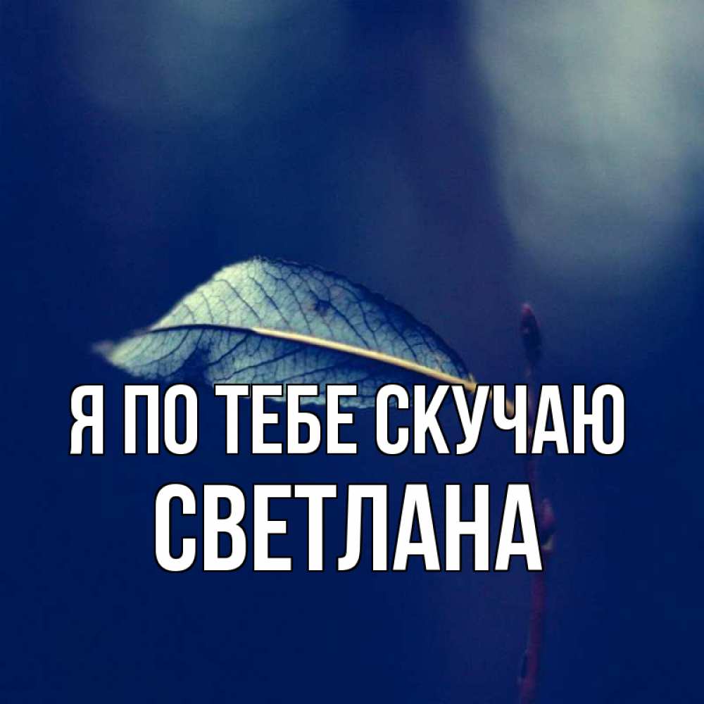 Открытка на каждый день с именем, Светлана Я по тебе скучаю одна ветка 1 Прикольная открытка с пожеланием онлайн скачать бесплатно 