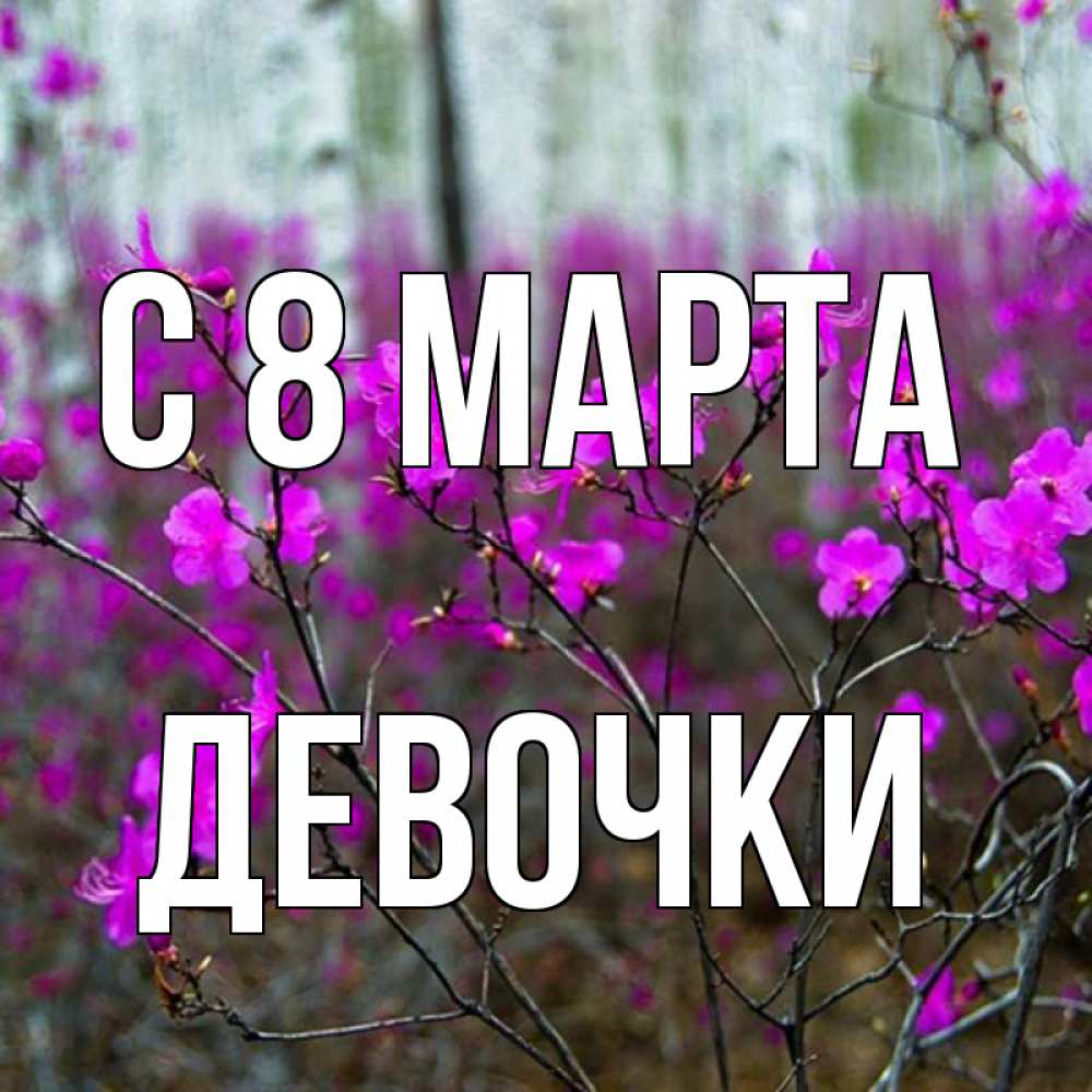 Открытка на каждый день с именем, ДЕВОЧКИ С 8 МАРТА дикие цветы Прикольная открытка с пожеланием онлайн скачать бесплатно 