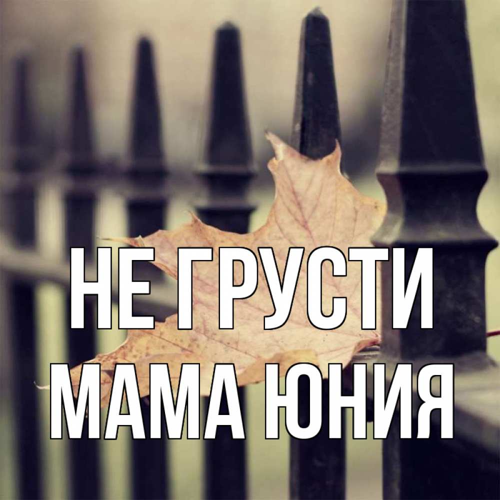 Открытка на каждый день с именем, Мама-Юния Не грусти лист клена Прикольная открытка с пожеланием онлайн скачать бесплатно 