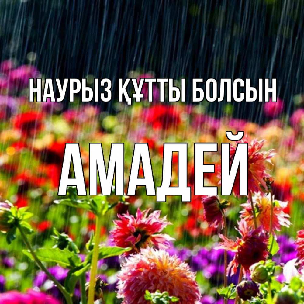 Открытка на каждый день с именем, Амадей Наурыз құтты болсын цветы под дождиком к наурызу Прикольная открытка с пожеланием онлайн скачать бесплатно 