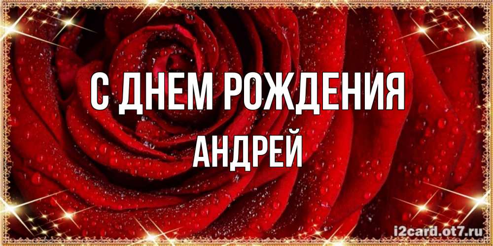 Открытка на каждый день с именем, Андрей С днем рождения роса на розе блестящая в лучах солнца Прикольная открытка с пожеланием онлайн скачать бесплатно 