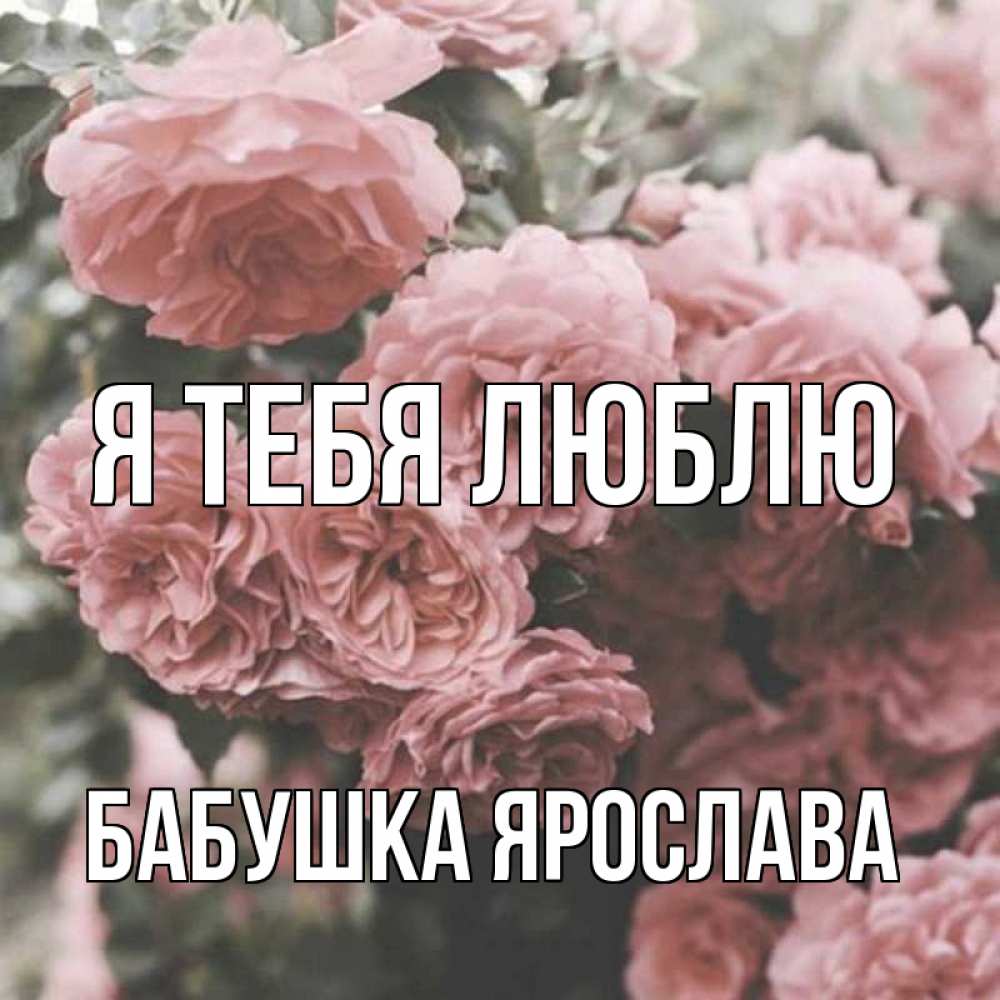 Открытка на каждый день с именем, Бабушка-Ярослава Я тебя люблю розы 3 Прикольная открытка с пожеланием онлайн скачать бесплатно 