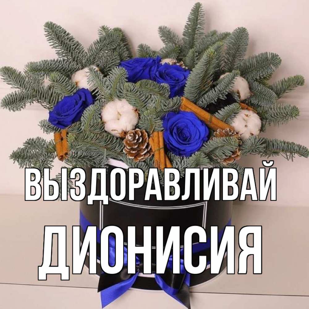 Открытка на каждый день с именем, Дионисия Выздоравливай короче кто то загрузил эти шишки Прикольная открытка с пожеланием онлайн скачать бесплатно 