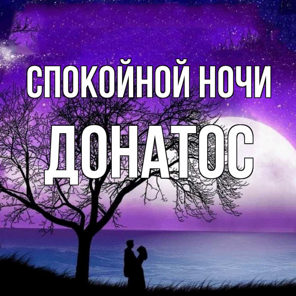 Открытка на каждый день с именем, Донатос Спокойной ночи огромная луна и парочка Прикольная открытка с пожеланием онлайн скачать бесплатно 