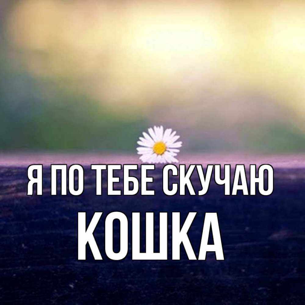 Открытка на каждый день с именем, Кошка Я по тебе скучаю приходи в гости Прикольная открытка с пожеланием онлайн скачать бесплатно 