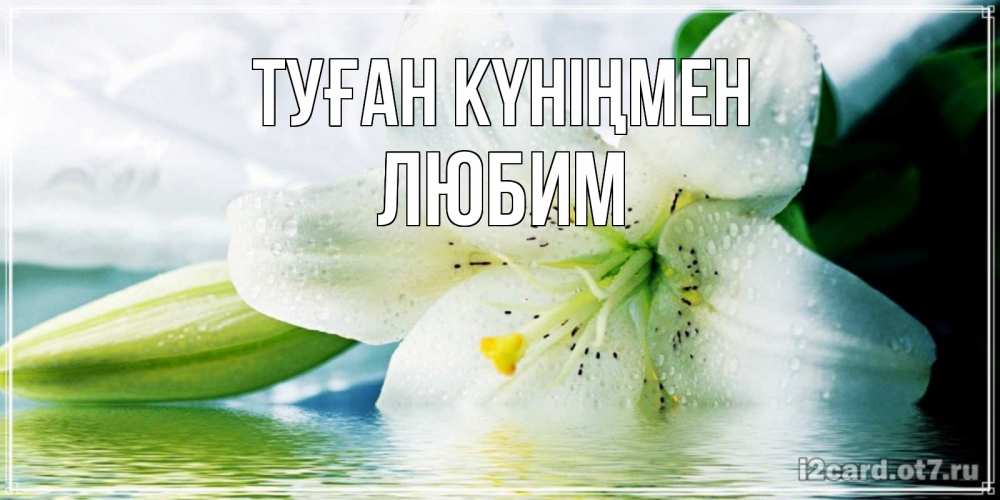 Открытка на каждый день с именем, Любим Туған күніңмен лилия на открытке ко дню рождения Прикольная открытка с пожеланием онлайн скачать бесплатно 