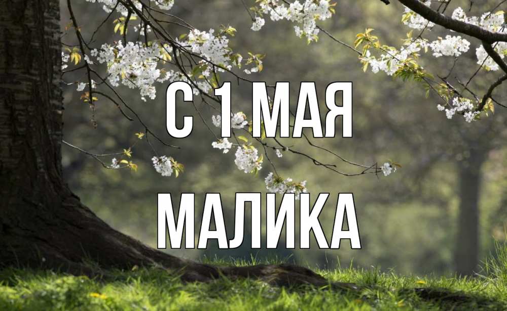 Открытка на каждый день с именем, Малика С 1 мая С 1 мая Прикольная открытка с пожеланием онлайн скачать бесплатно 