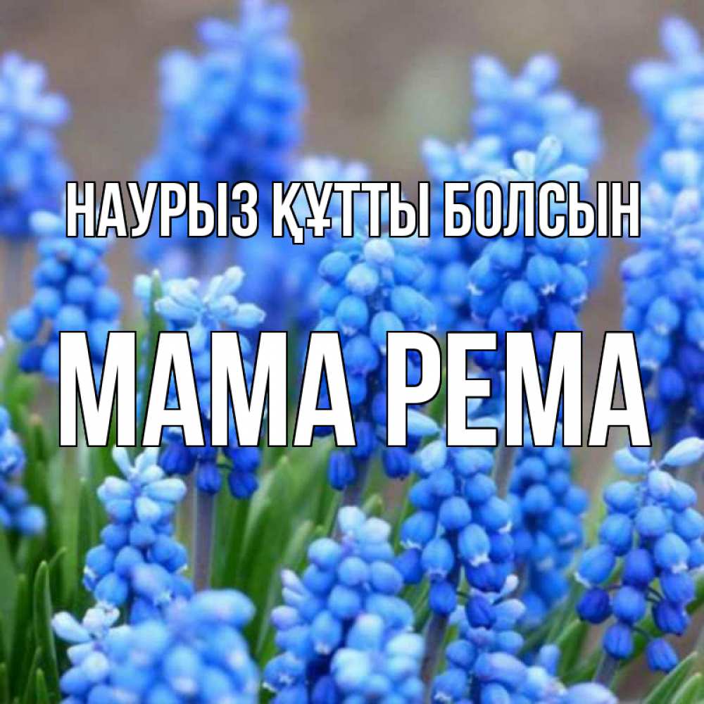Открытка на каждый день с именем, Мама-Рема Наурыз құтты болсын Поздравительная открытка для женщин с цветами на праздничную дату Прикольная открытка с пожеланием онлайн скачать бесплатно 