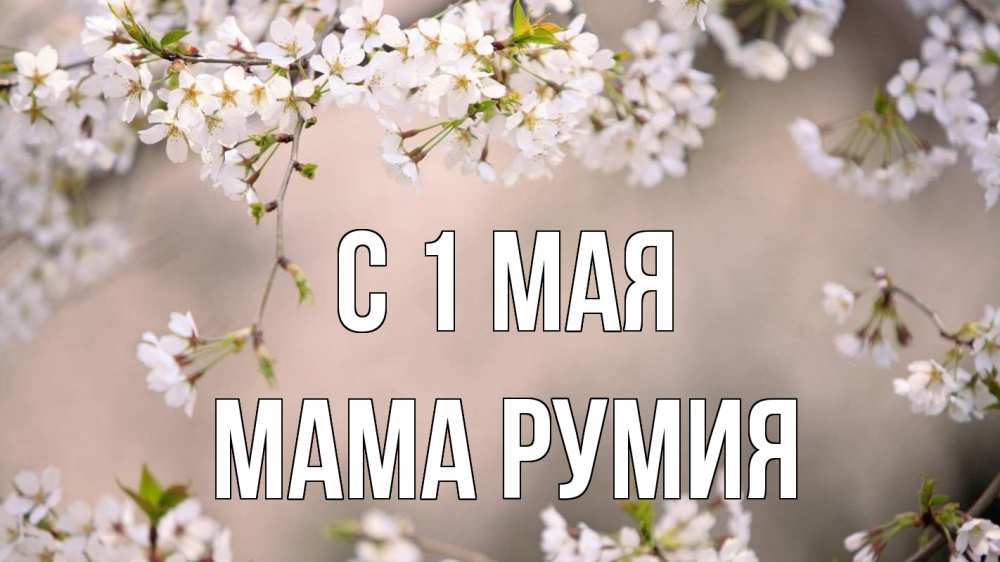 Открытка на каждый день с именем, Мама-Румия С 1 мая С 1 мая Прикольная открытка с пожеланием онлайн скачать бесплатно 