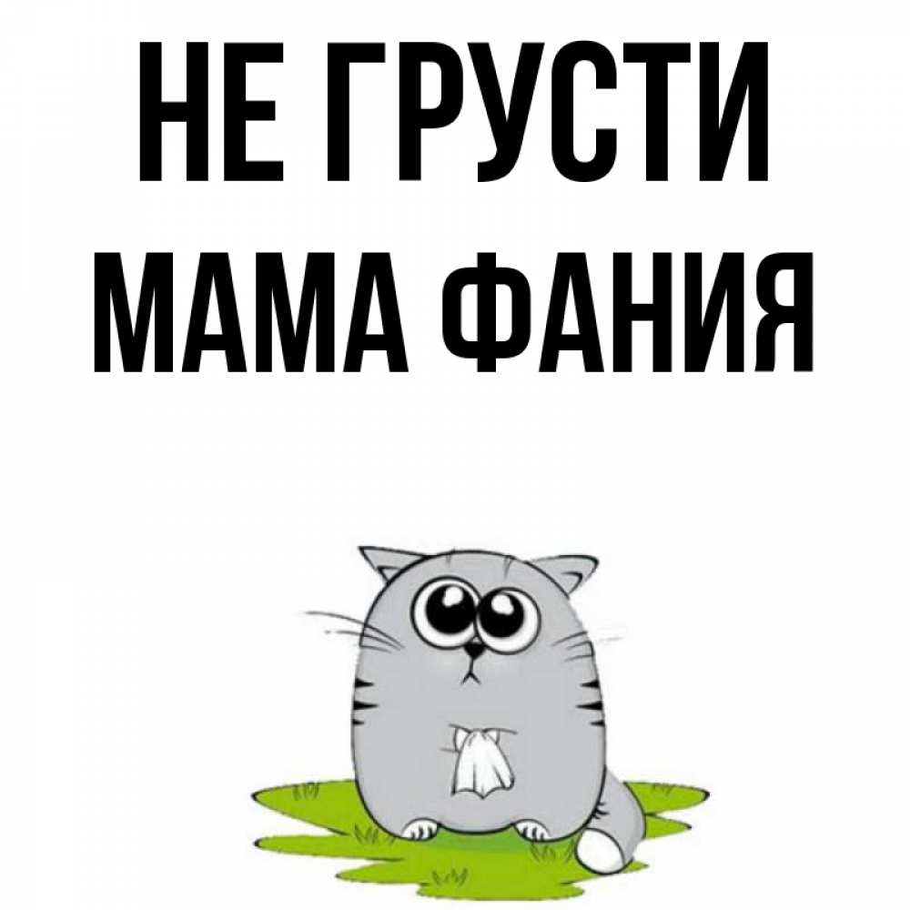 Открытка на каждый день с именем, Мама-Фания Не грусти грустный котяра Прикольная открытка с пожеланием онлайн скачать бесплатно 
