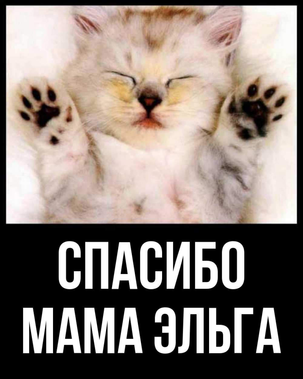 Открытка на каждый день с именем, Мама-Эльга Спасибо маленький котенок Прикольная открытка с пожеланием онлайн скачать бесплатно 