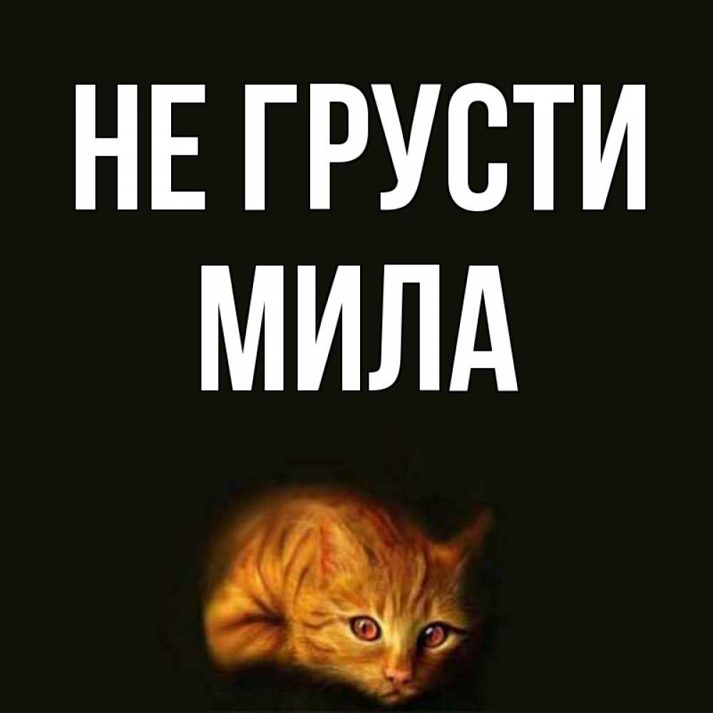 Открытка на каждый день с именем, Мила Не грусти лежащий кот в темноте Прикольная открытка с пожеланием онлайн скачать бесплатно 