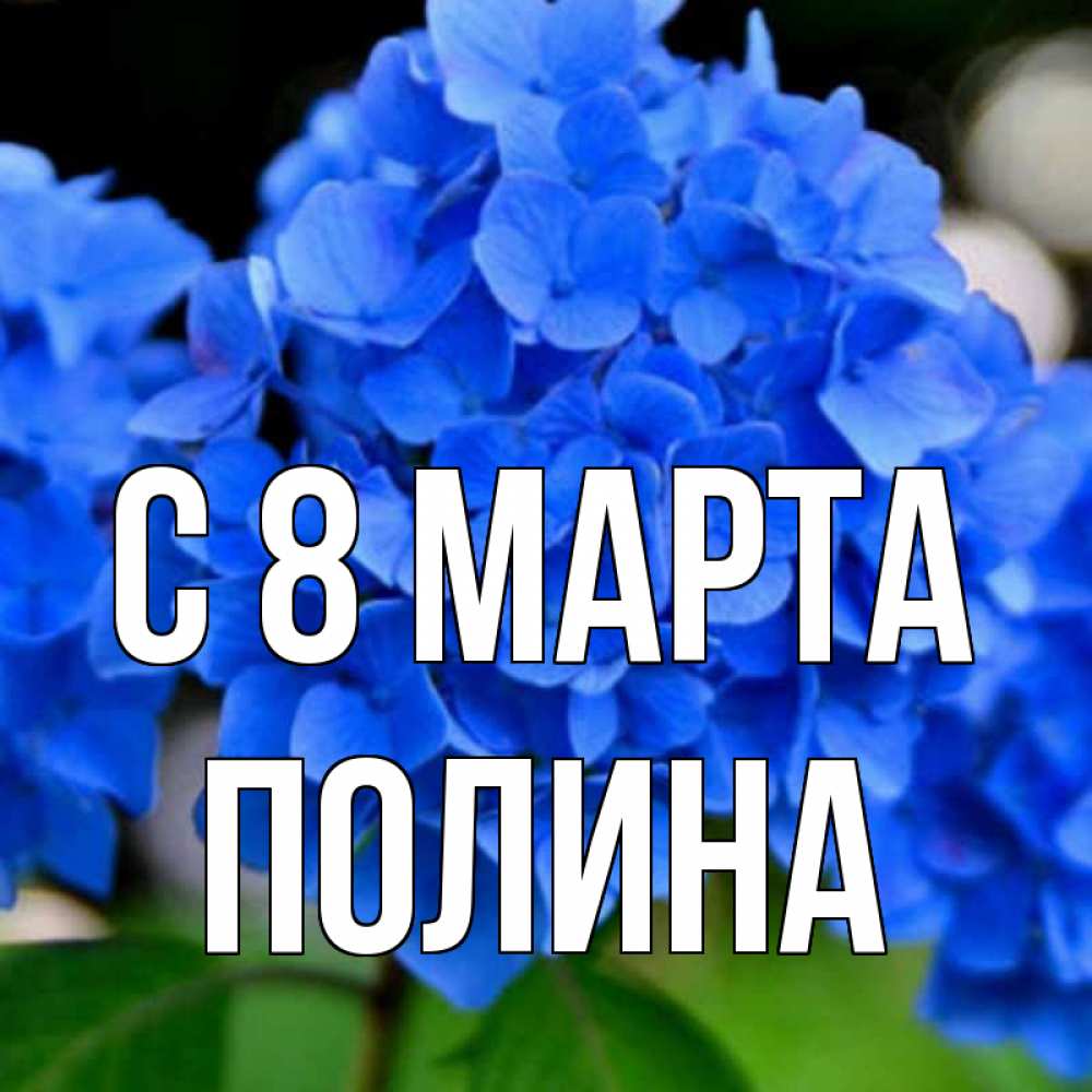 Открытка на каждый день с именем, Полина С 8 марта синие цветы Прикольная открытка с пожеланием онлайн скачать бесплатно 